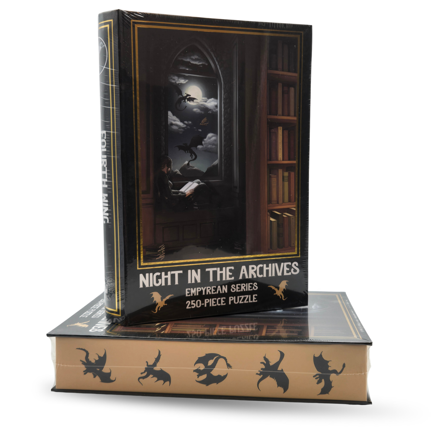 Puzzle - Night in the Archives - Fourth Wing